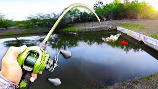 This CANAL has GIANT Bass Bank Fishing