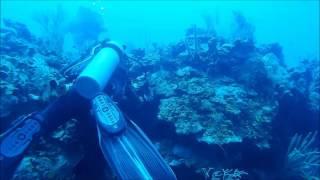 Diving in Akumal Mexico 2016