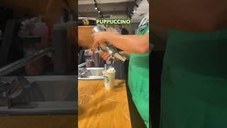 Get a FREE starbucks for your dog 