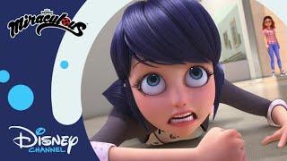  Szerelmi zűrök  Miraculous  Disney Csatorna