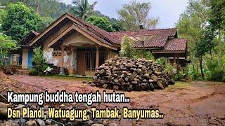 plandi kampung buddha terpencil di tengah hutan pinus di ujung perbatasan tiga kabupaten.