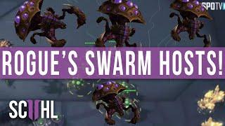 Rogues Swarm Hosts - SC2 Proleague