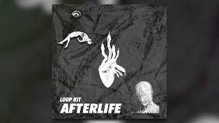 FREE Loop Kit  Sample Pack Afterlife Dark Cubeatz Future Southside Metro Boomin