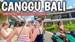 MORE WORLD AND MORE FOREIGN TOURISTS IN BALI THE CURRENT SITIUATION OF CANGGU BALI