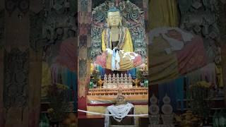 Goom Monastery Darjeeling #darjeeling #queenofhills #youtubeshorts #shortsvideo