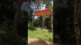 Jalan Gunung Ijen Banyuwangi lereng part 8 gantasan bike park #sunriseofjava #road