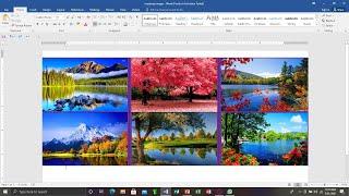 How to Insert Images into Word Document Table  Microsoft Word 2016