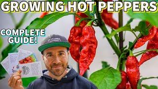 Hot Pepper Growing Guide Sow These Summer Veggies FIRST