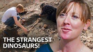 Hunting for the Worlds Strangest Dinosaurs  Our History