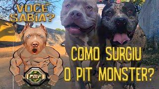 História origem do Pit Monster