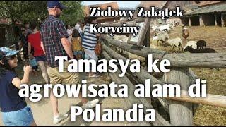 Tamasya ke Agrowisata di Desa Polandia Ziołowy Zakątek