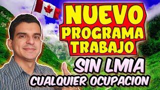 El MEJOR programa para EMIGRAR como TRABAJADOR a CANADA  Programa de Movilidad Francofona