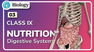 05  Nutrition Class 9  WBBSE Class 9 Life Science Chapter in Hindi  By Shifat Ahmed