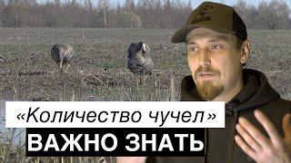 Важно знатьколичество чучелохота на гуся