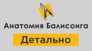 Анатомия Балисонга