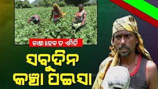 Odisha Farmers Successful Enterprise Is Truly Motivating