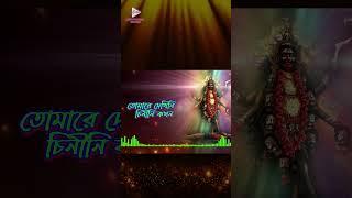 তোমারে দেখিনি চিনিনি কখন শুধু জানি তুমি সবার আপন  শ্যামাসংগীত