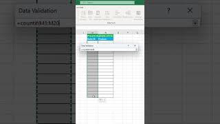 How to prevent duplicate entries in excel
