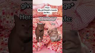 CAT MEMES My girlfriends moods be like... #catmemes #relatable #relationship #shorts