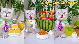 Cool Ice Cream And Drinks Await You This Summer️ Cat Cooking FoodCute And Funny Cat