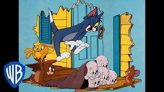 Tom & Jerry  Lets Save the Day  Classic Cartoon Compilation  WB Kids