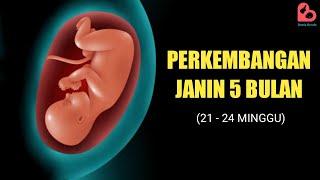 Perkembangan Janin yang Ideal Usia 5 Bulan