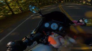 Kawasaki Ninja 250R Crash in the Twisties Full Video