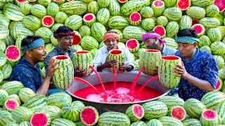 WATERMELON JUICE  Farm Fresh Fruit Juice Making  Watermelon Craft  Watermelon Experiment