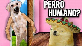 ESA COSA NO ES MI PERRO ES UN HUMANO? - Hilos con cheems