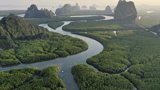 Amazing Amazon River