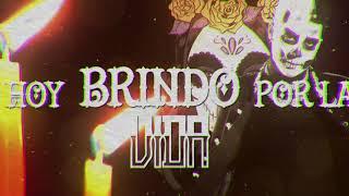 Mario Bautista - Brindo Lyric Video