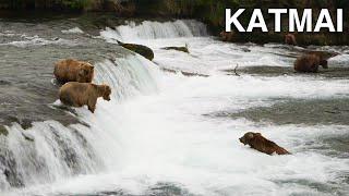 Katmai National Park Where the Bears Are