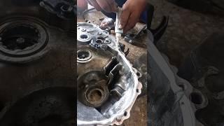 tasbi  manual gearbox repair