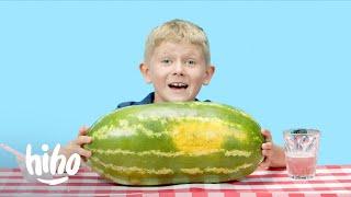 Kids Try Watermelon Snacks  Kids Try  HiHo Kids