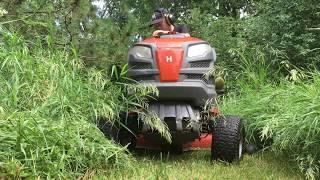 Mowing Tall Wet Grass