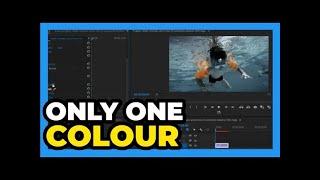 Premiere Pro ： How to do Black and White Except One Color 2024