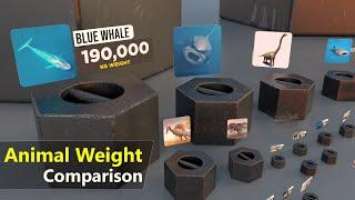 Animal Weight Comparison   Heaviest Animal  Monster mass  Extinct animal Mass