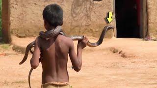 The Boy Was Forbidden to Have a PetSo He Brought Snake Into the House and This is What It Led To