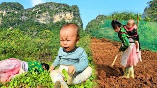 A single mother working as a vegetable garden suffered heat stroke and fell  Sung Thi So