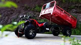 HAMMER 300L 4X4 Shaft Drive Farm ATV with Cargo
