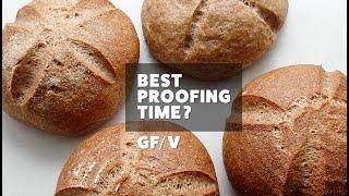 Ready to Bake? Gluten-Free Sourdough Baking TIPS