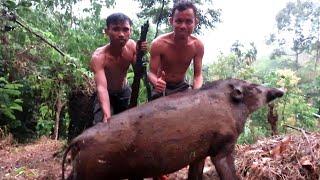 BERBURU BABI HUTAN & AYAM HUTANROBOHNYA RATU BABI HUTAN JUMBO