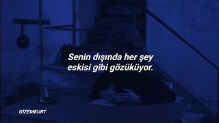 Lana Del Rey - Paris Texas ft. SYML Türkçe Çeviri LDRmevsimi 713