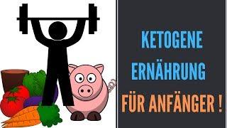 Ketogene Diät für Anfänger  Generation Erfolg