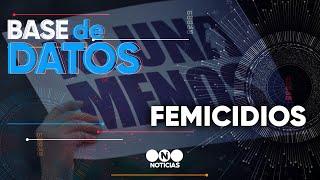 BASE DE DATOS FEMICIDIOS - Telefe Noticias