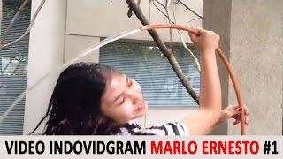 Video Kompilasi Marlo Ernesto Terlucu di Indovidgram #1