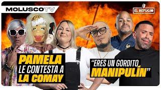 La Comay regresa y dice HIPOCRITA a Pamela Alí manda  a artistas de la vieja que no se reconocen