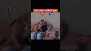 KOLPACI SİMBA