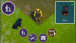 I Got a  True Friend  Dog Rottweiler From Puppy Level 3 Last Day On Earth Survival