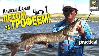 Летом за трофеем Часть 1. Ловля щуки на Волге. Алексей Шанин. Anglers Practical